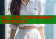 糖心vlog章节入口轻松管理视频内容快速定位精彩片段