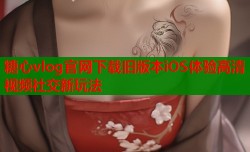 糖心vlog官网下载旧版本iOS体验高清视频社交新玩法