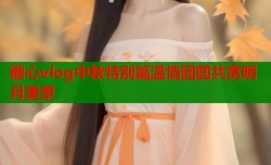 糖心vlog中秋特别篇温情团圆共赏明月美景
