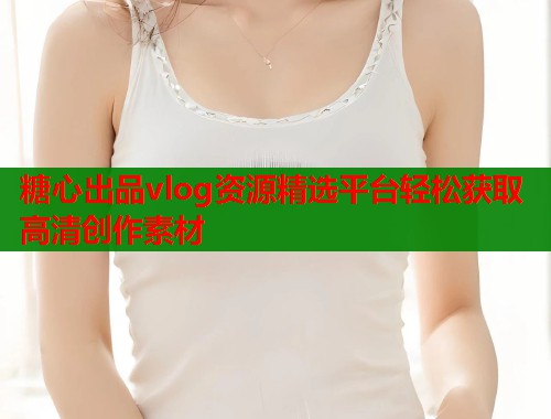 糖心出品vlog资源精选平台轻松获取高清创作素材  第1张