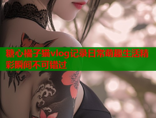 糖心橘子猫vlog记录日常萌趣生活精彩瞬间不可错过  第2张