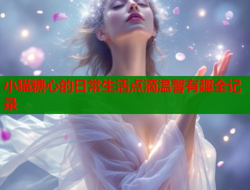 小猫糖心的日常生活点滴温馨有趣全记录  第1张