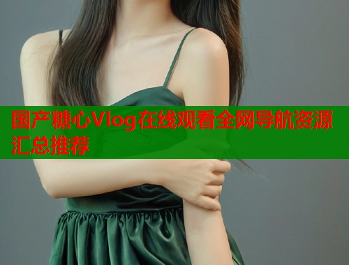 国产糖心Vlog在线观看全网导航资源汇总推荐  第1张